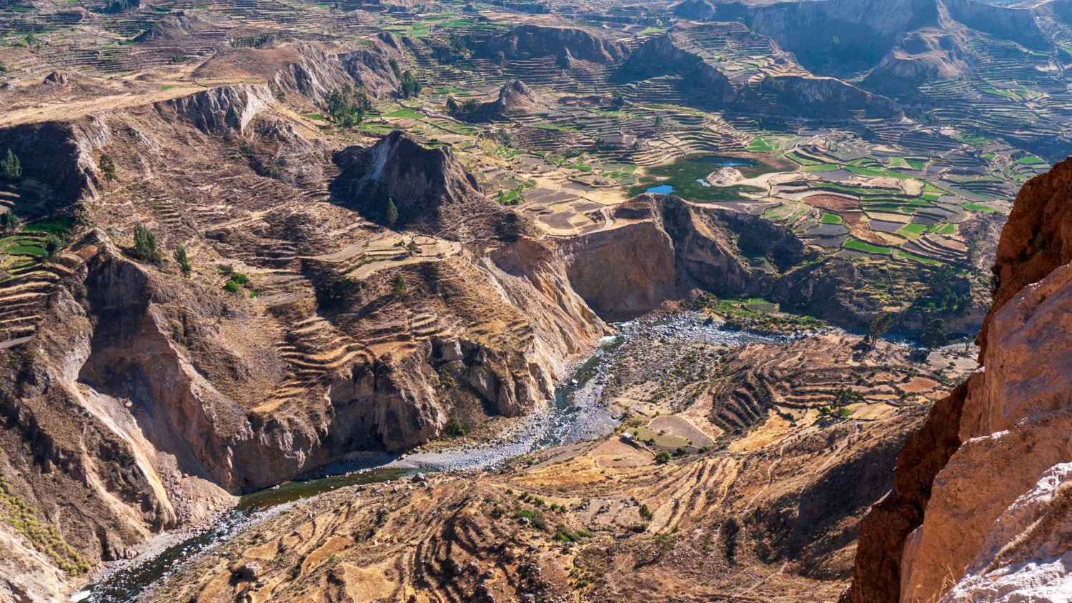 Aerial view of the Colca Canyon’s terraced valley and winding river, with dramatic cliffs and cultivated Andean farmland creating a striking patchwork landscape in southern Peru.