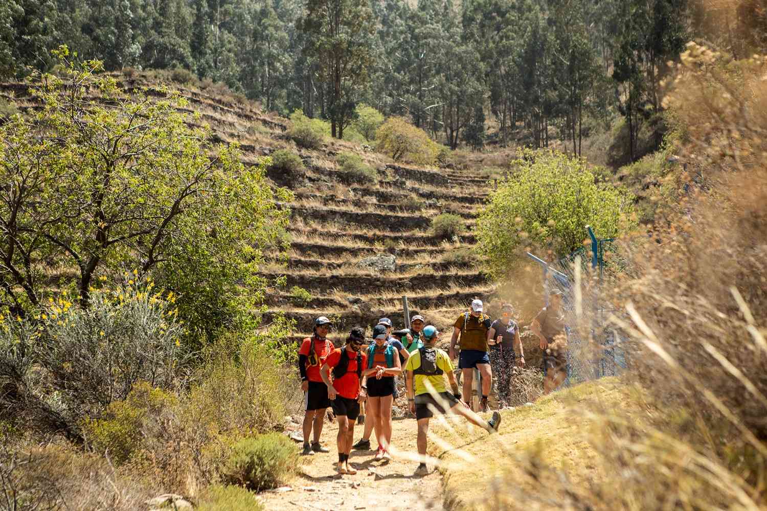 Grupo de corredores en el sendero a Choquequirao, atravesando laderas con terrazas y caminos boscosos durante una aventura guiada de running y trekking en los Andes.