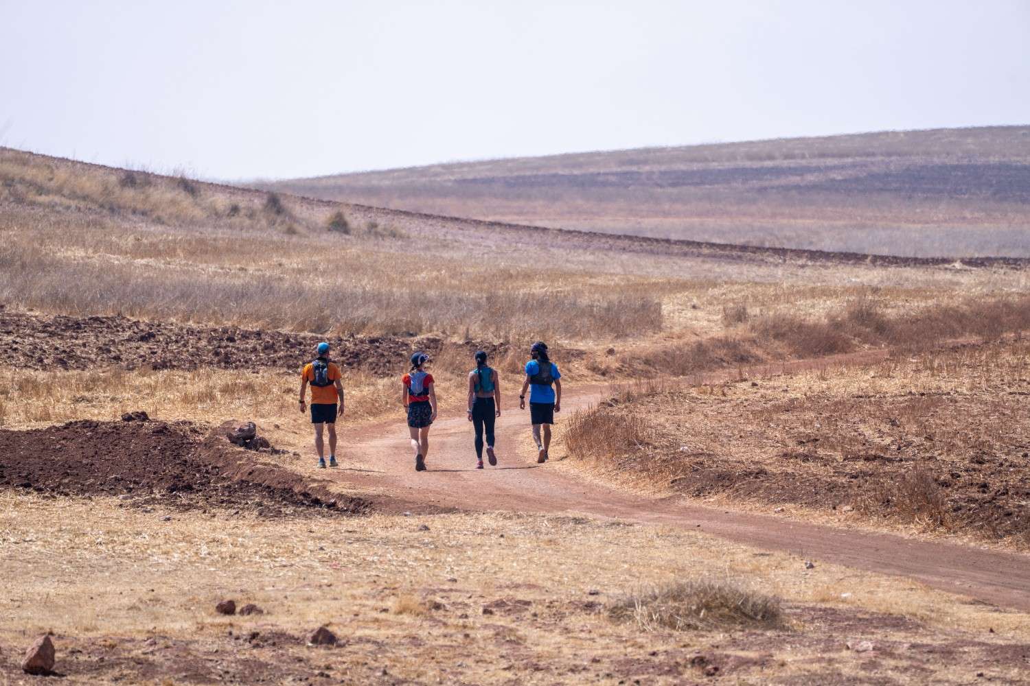 Grupo de corredores de trail en el Valle Sagrado de Cusco, explorando paisajes andinos abiertos durante un running tour guiado – trail running en Perú para viajeros activos.