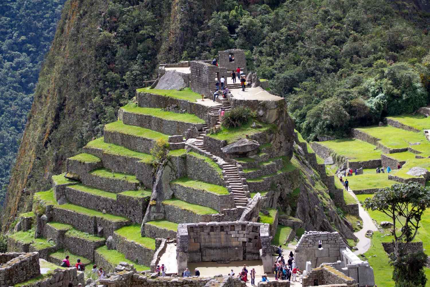 Corredores en el circuito del Camino Inca, cruzando terrazas y senderos históricos hacia Machu Picchu durante un tour guiado – running tours en Machu Picchu y trekking y trail running en los Andes.