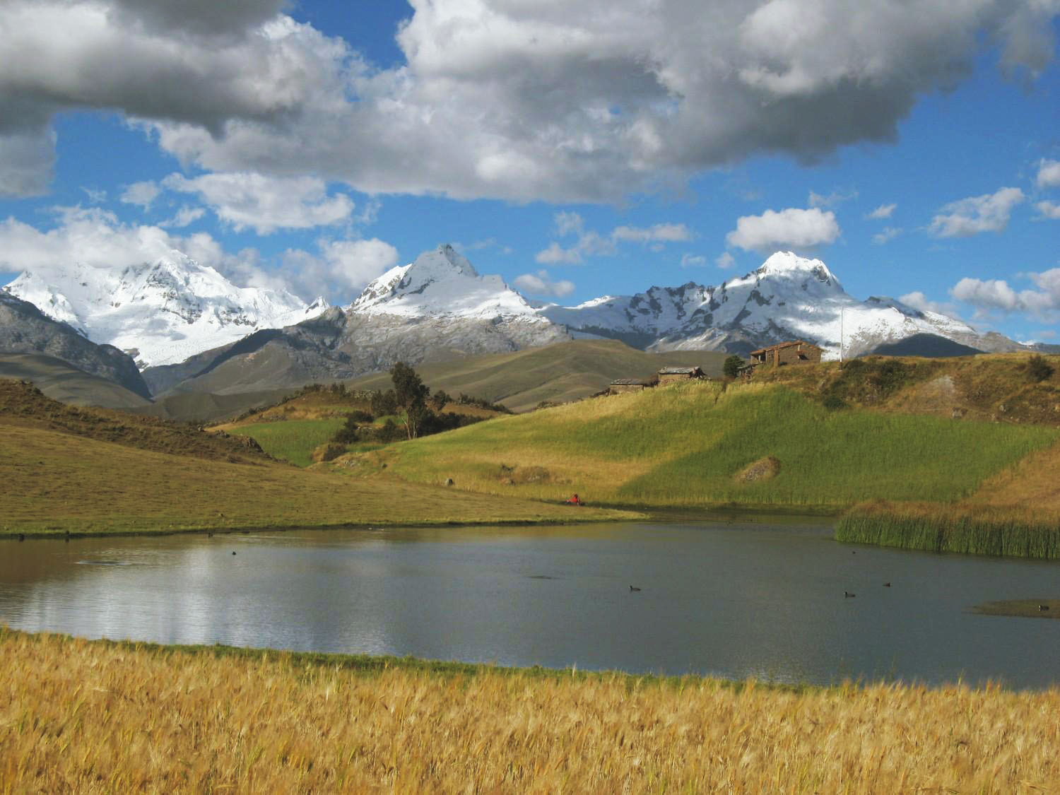 Laguna Willcacocha con picos nevados de la Cordillera Blanca al fondo, Perú.